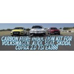 Forge Carbon Airbox Intake Golf 7 GTI / Golf 8 R / S3 8V / Leon 3 Cupra / S3 8Y 2.0 TFSI