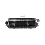 Alpha Competition Intercooler BMW 135i / 1M E82 and 335i E9x N54
