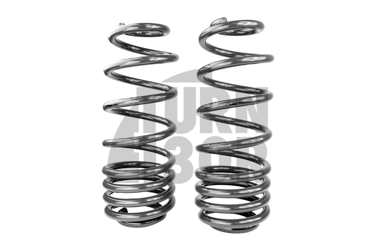 Racingline Sport Springs Golf 5 GTI / Golf 6 GTI / Leon 2 Cupra