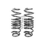 Racingline Sport Springs Golf 7 R