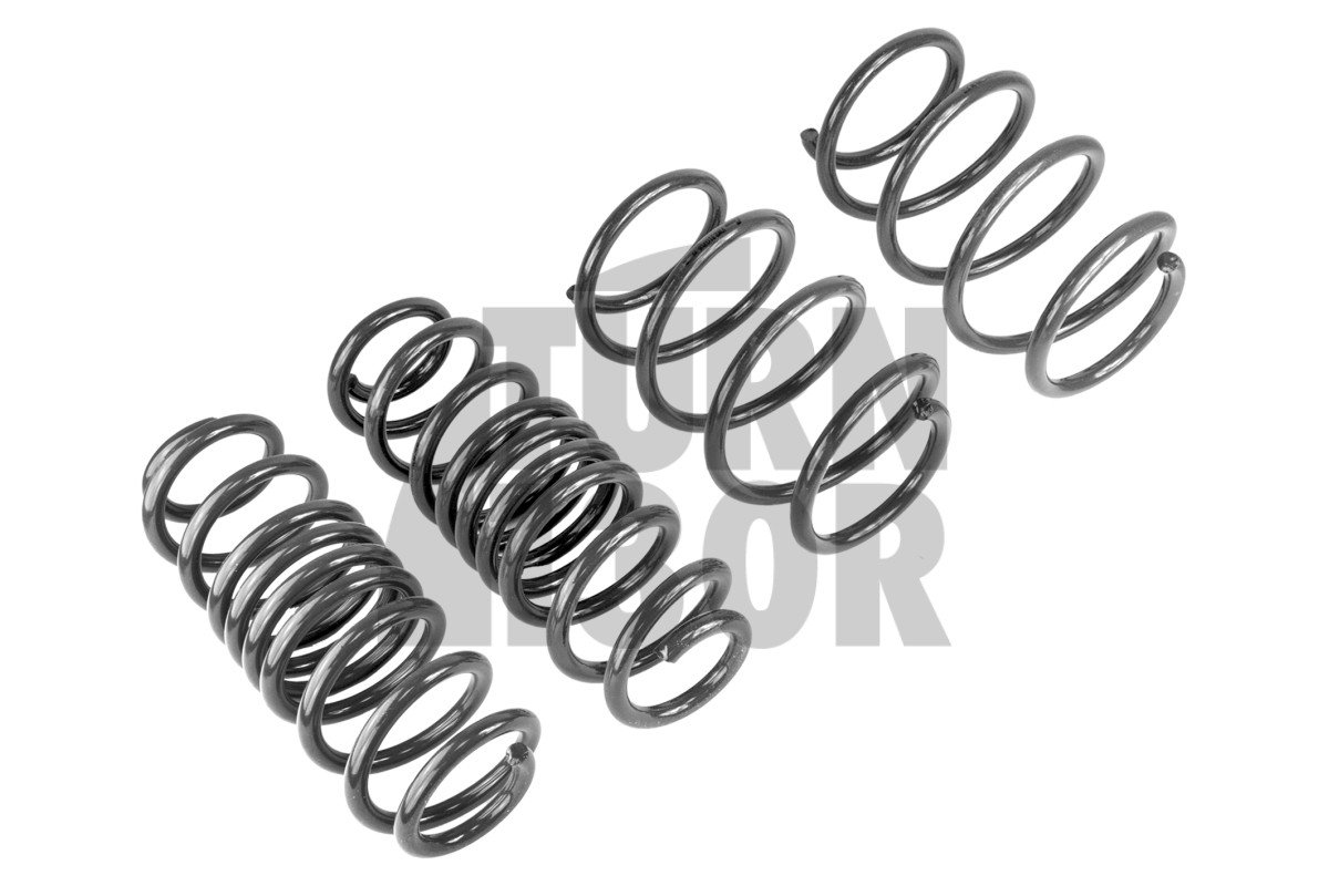 Racingline Sport Springs Golf 7 R SW / Leon 3 Cupra ST / Octavia VRS SW