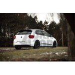 Racingline -30mm Sport Springs Polo AW GTI