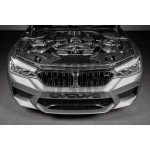 Eventuri Carbon Inlet Pipes for BMW M5 F90 / M8 F9x