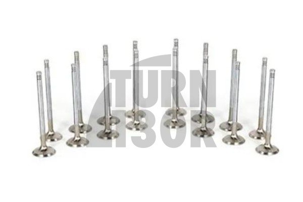 Mitsubishi Lancer Evo 10 Ferrea Competition Engine Valves x16