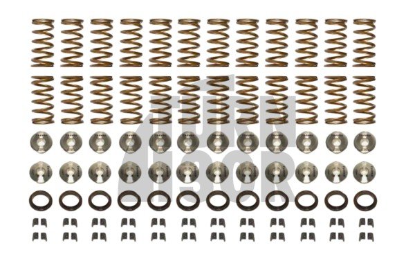 Nissan R35 GTR Ferrea Valve Springs and Retainers Kit