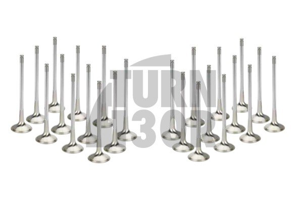 Supertech Engine Valves x24 BMW M3 E46 S54 