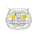 Forge Motorsport Carbon Fiber Air Duct M2 F87 135i / 235i F2x and 335i / 435i F3x