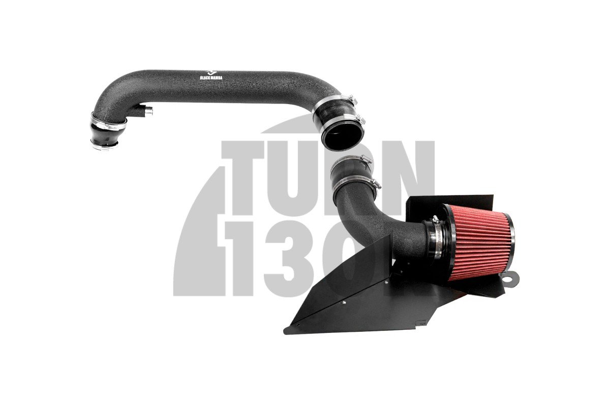 Black Mamba Intake for Golf 6 GTI / Scirocco / Leon 2 FR 2.0 TSI EA888