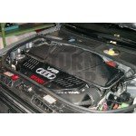 Gruppe M Carbon Fiber Intake System for Audi RS6 C5