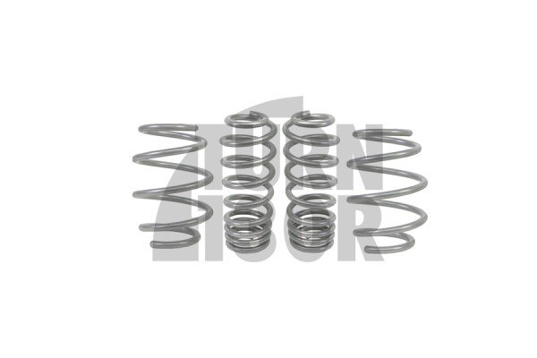 -25mm Lowered Springs for Mustang S550 5.0 Faceliift with Magnetic Ride Whiteline